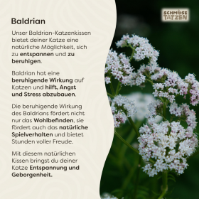 Schmusetatzen Duft- und Schmusekissen – Bild 4